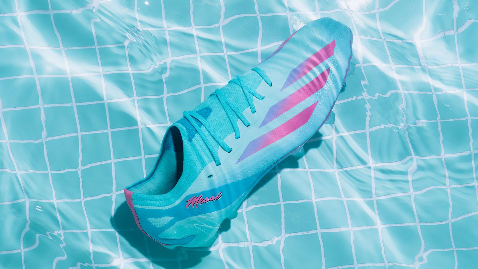 質疑他領袖 質疑他領袖